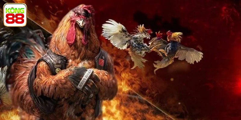 Cách Xem Lối Đá Của Gà Lựa Chọn Chiến Kê Dũng Mãnh