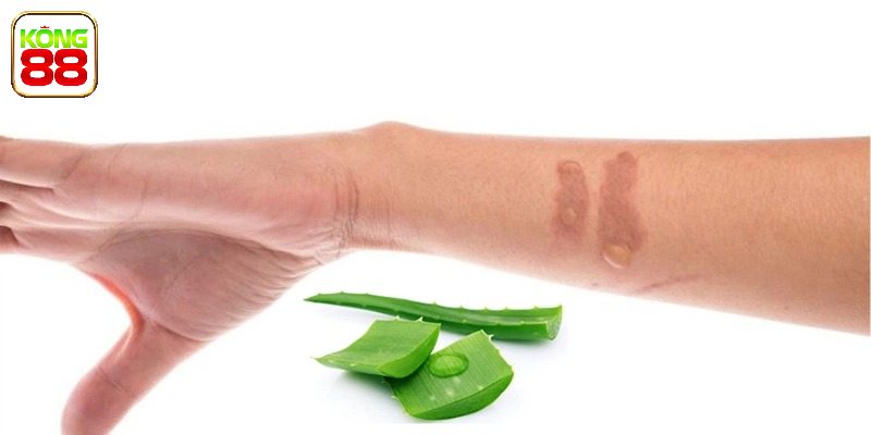 Những số may mắn khi gặp giấc mơ này