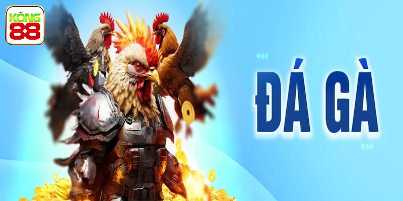 Trận đấu hấp dẫn tại AOG Đá Gà